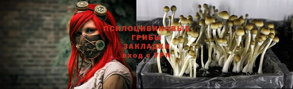 спайс Алексин