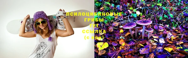 спайс Алексин